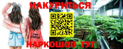 индика Волгодонск