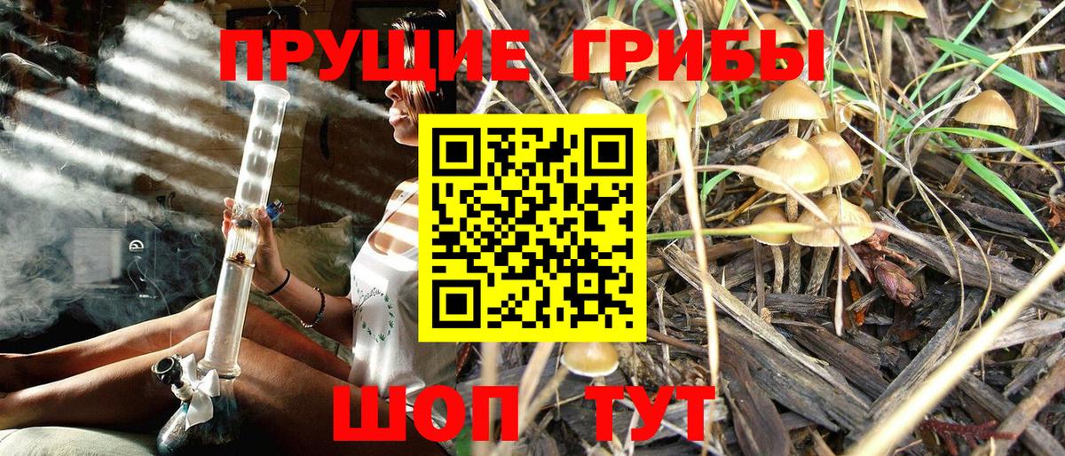 Галлюциногенные грибы Magic Shrooms  Вход с VPN  Нерюнгри 